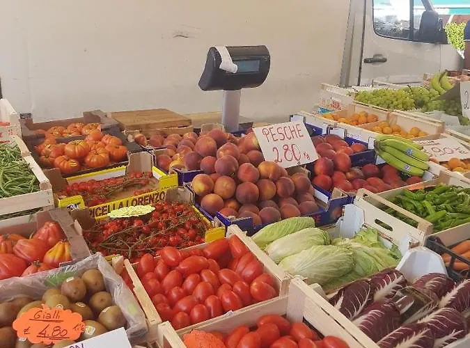 Sara - Seeblick - Sea View アルジェーニョ